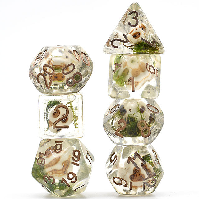 Set of clear dice with embedded natural elements on a white background